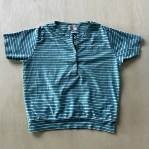 Lindsey Blake Shirt Womens Petite Small Blue Striped Embroidered Henley Top